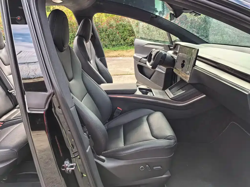 Tesla Model X — фото 2