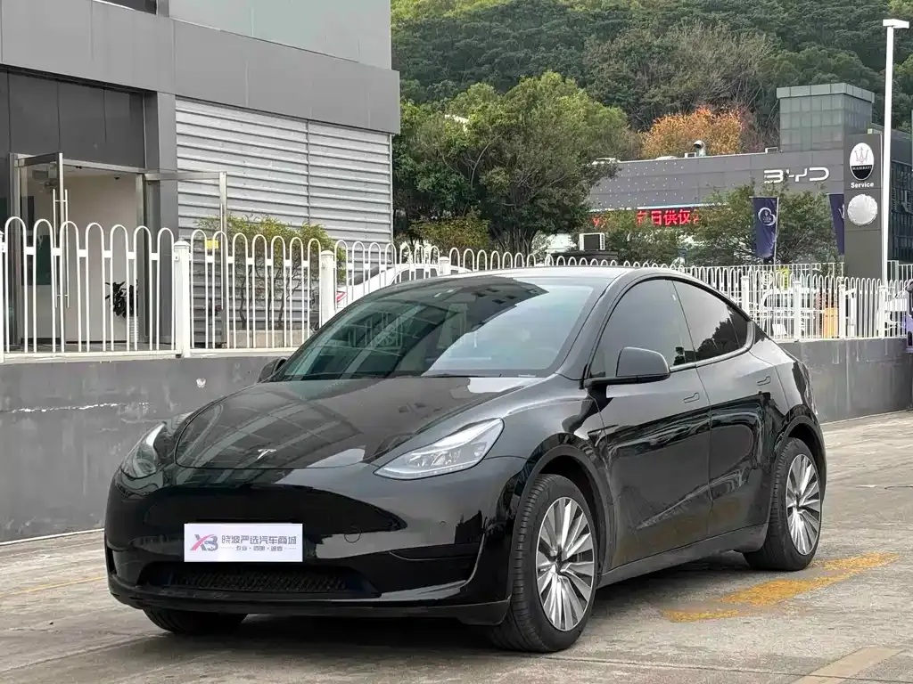 Tesla Model Y — фото 1