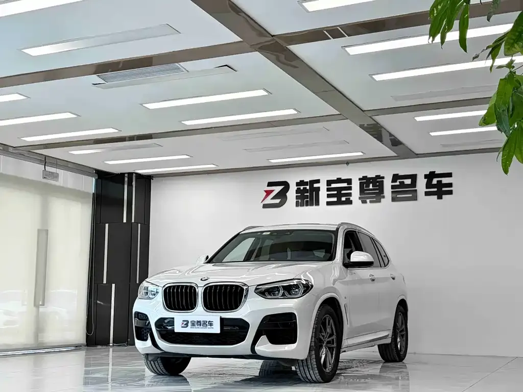 BMW X3 — фото 1