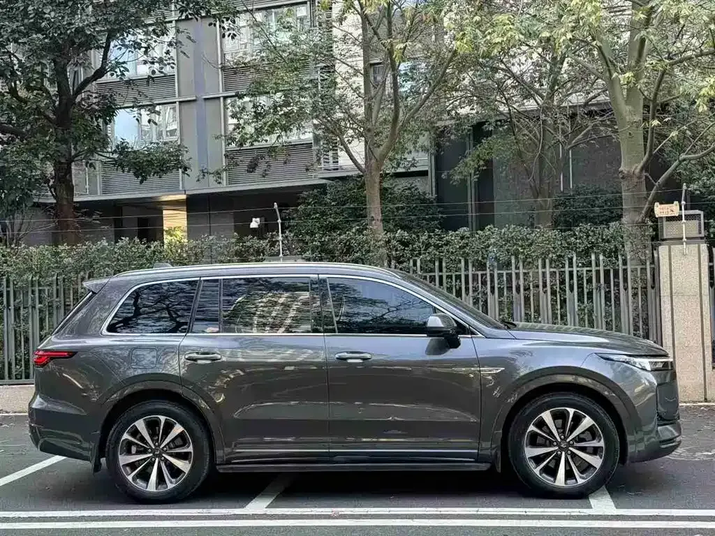 Li Auto ONE — фото 10