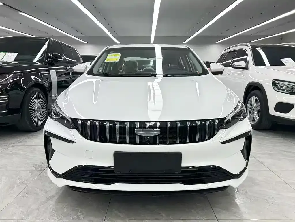 Geely Binrui — фото 9