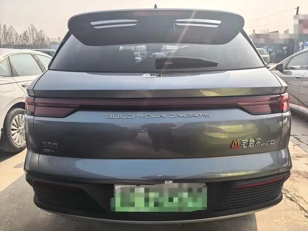 BYD Pro New Energy — фото 2