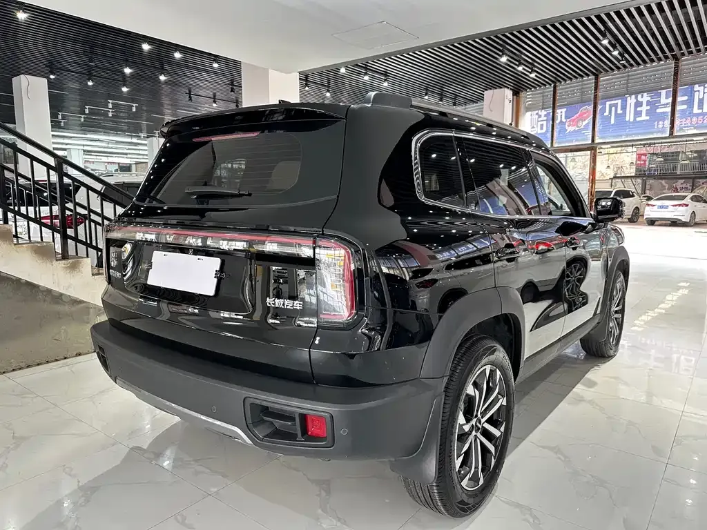 Haval Big Dog — фото 6