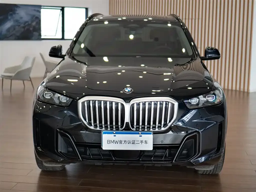 BMW X5 — фото 10