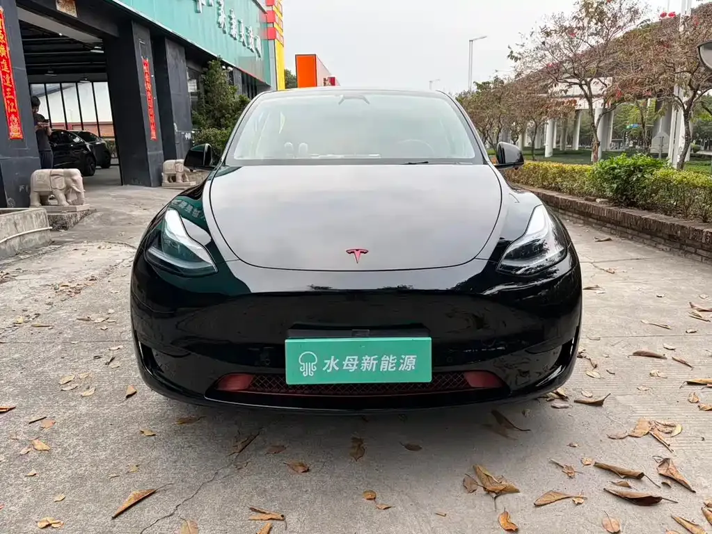 Tesla Model Y — фото 3