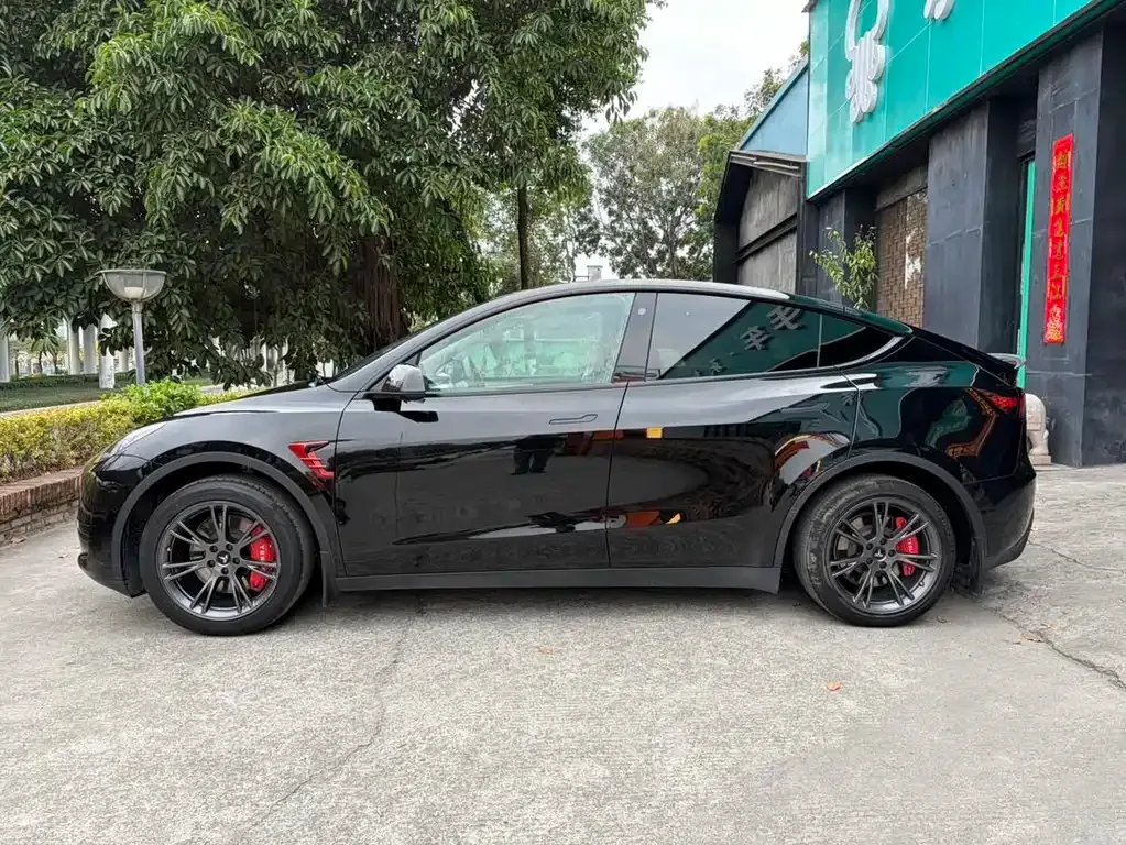 Tesla Model Y — фото 4