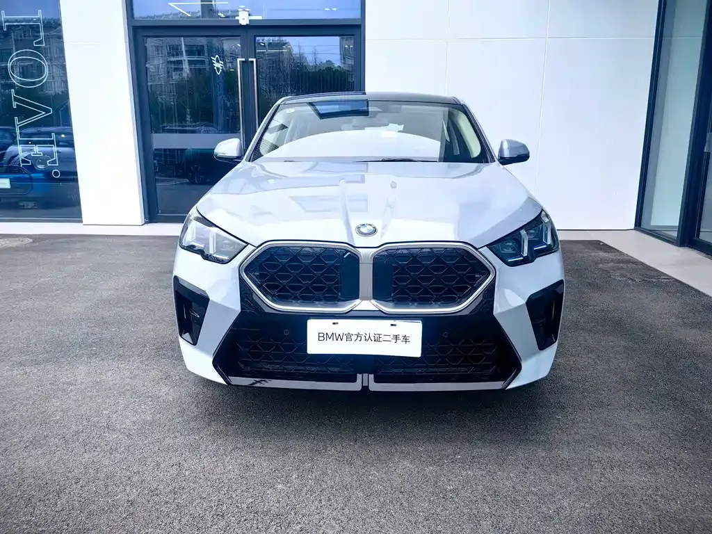 BMW X2 (Import) — фото 9