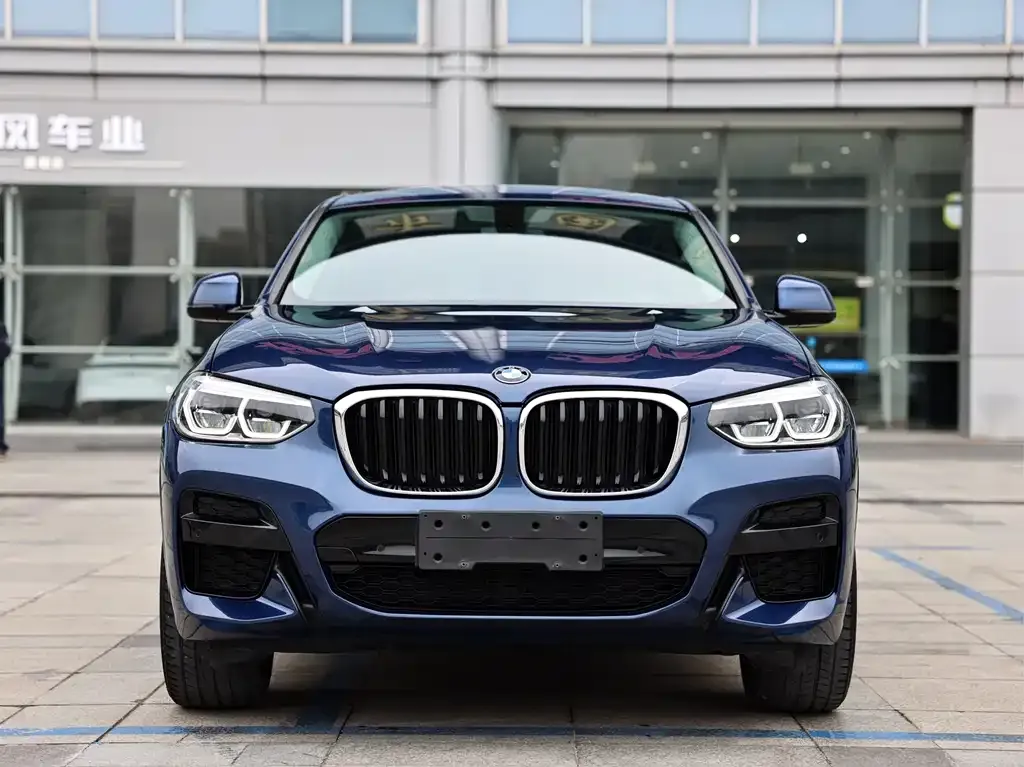 BMW X4 — фото 6