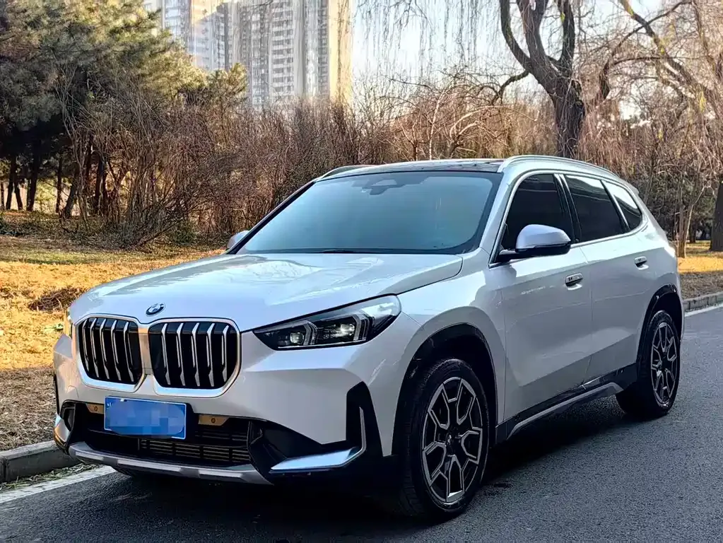 BMW X1 — фото 1
