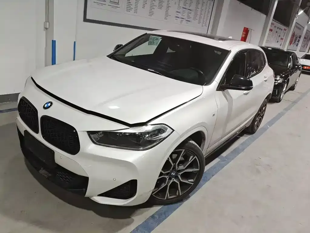 BMW X2 — фото 1