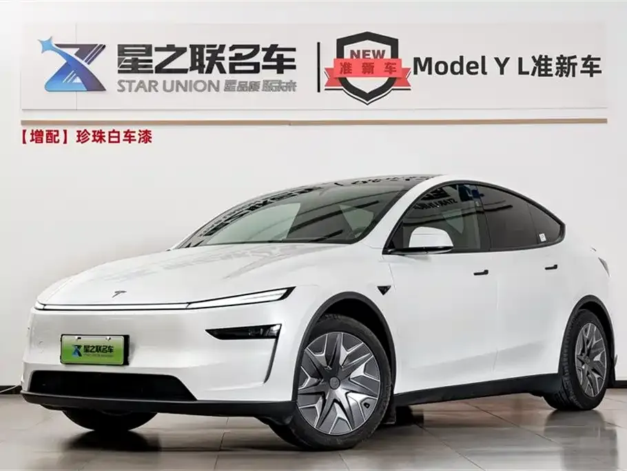 Tesla Model Y L — фото 1