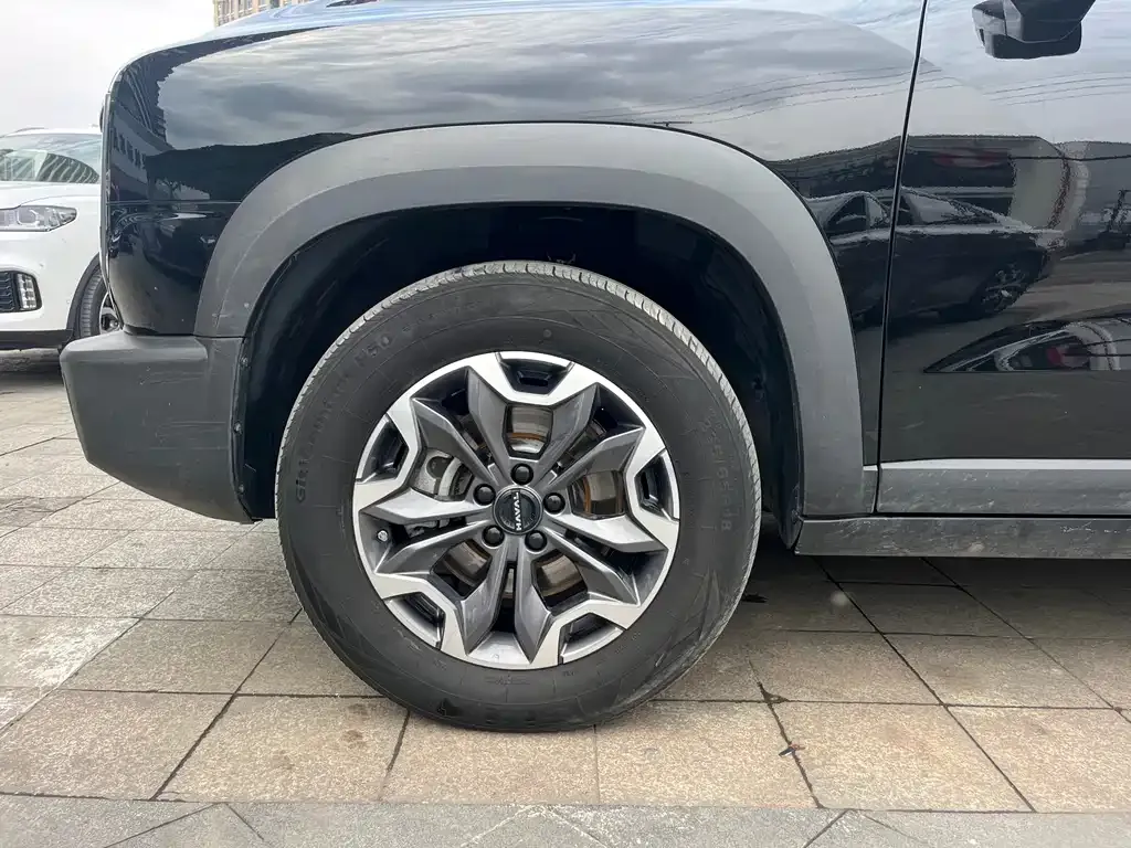 Haval Big Dog — фото 10