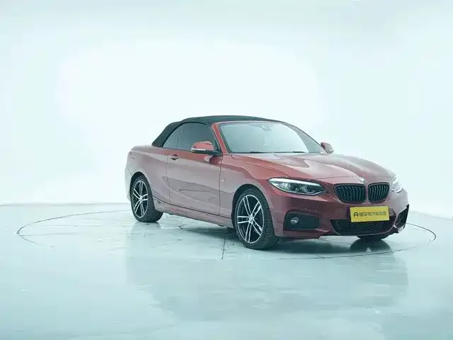 BMW 2 Series (Import) — фото 7