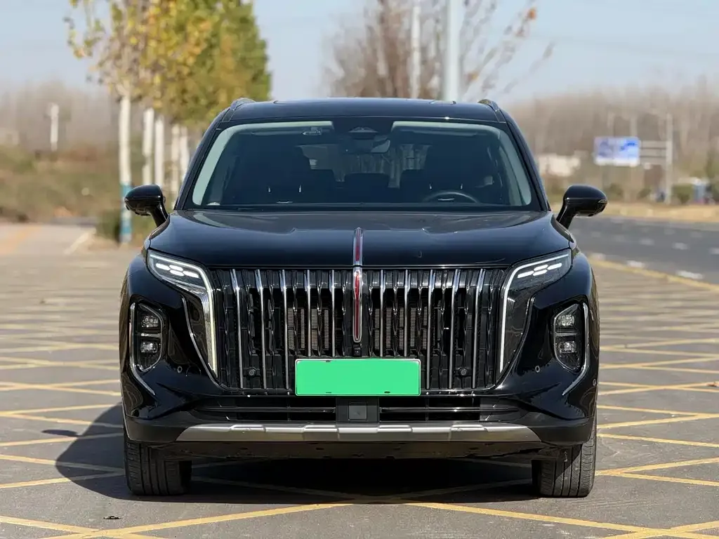 Hongqi HS7 PHEV — фото 8