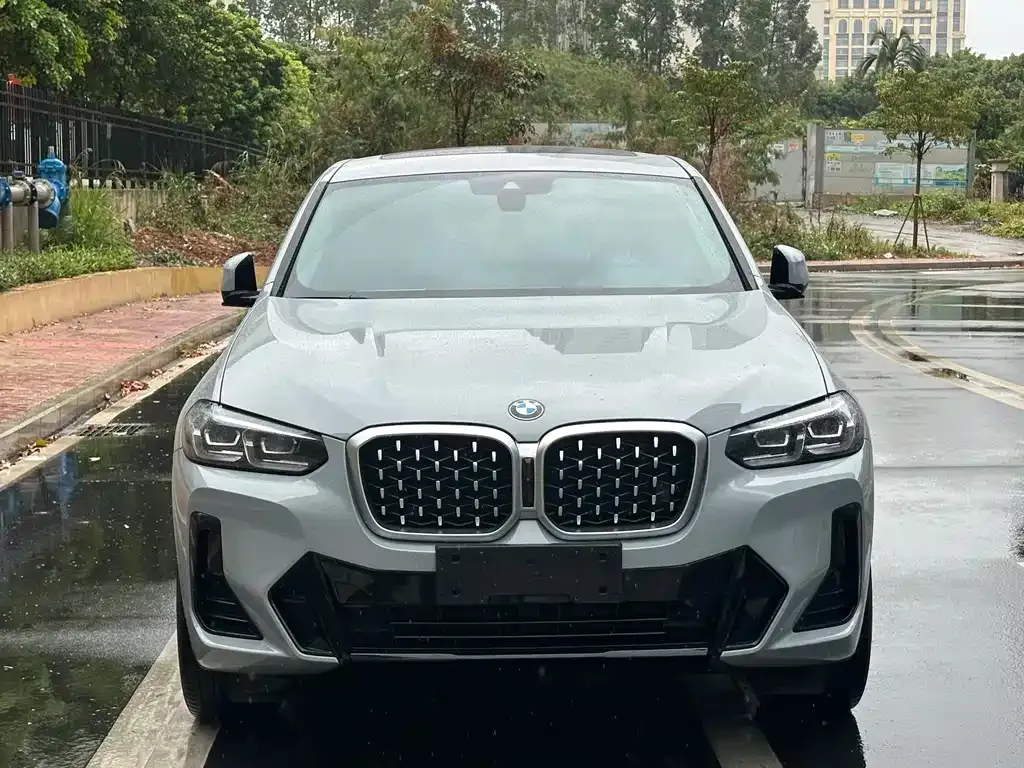 BMW X4 — фото 10