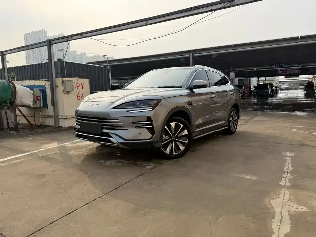BYD PLUS New Energy — фото 1