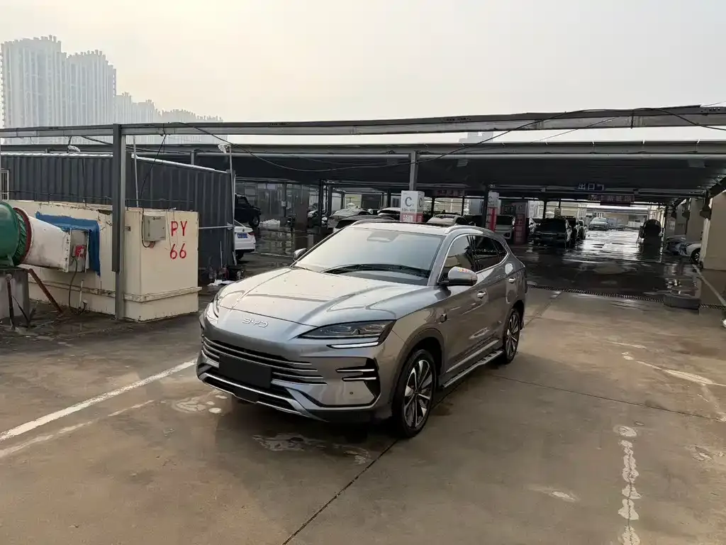 BYD PLUS New Energy — фото 3