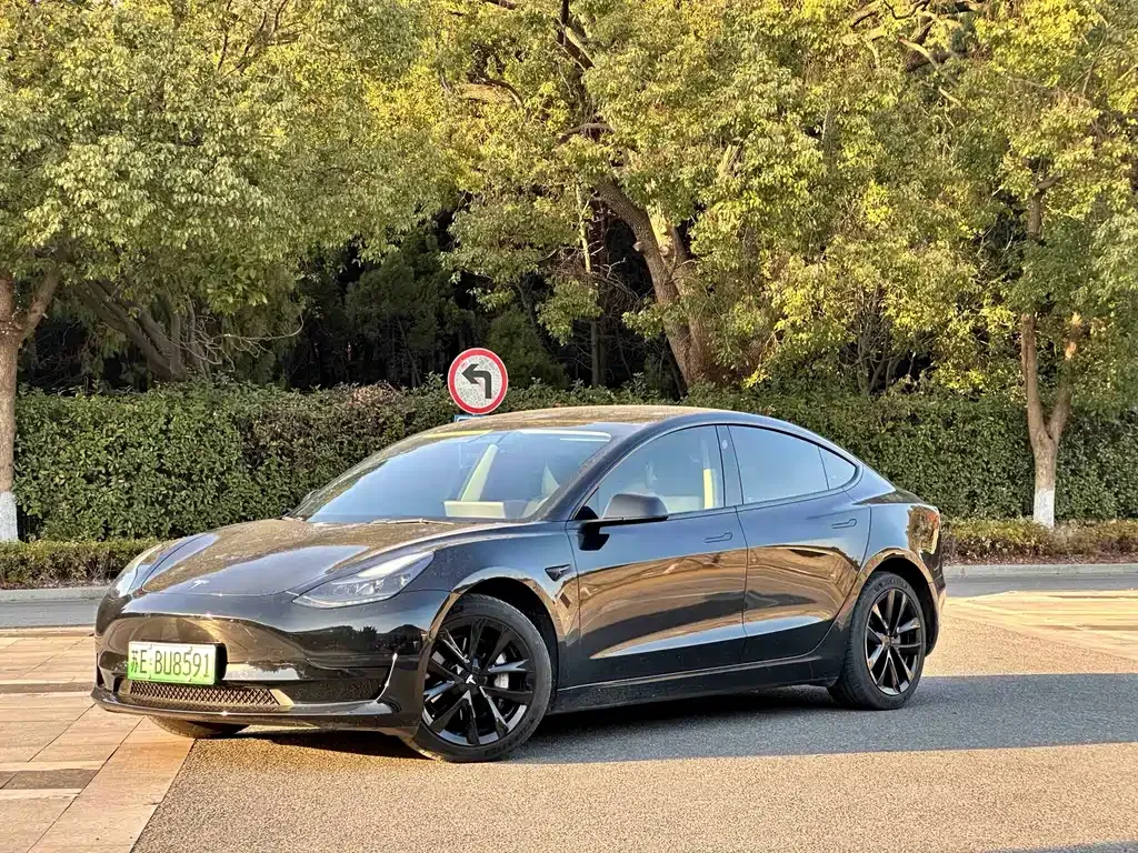 Tesla Model 3 — фото 1