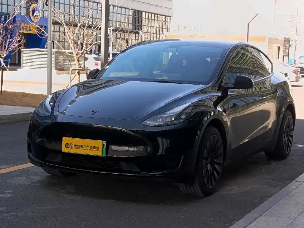 Tesla Model Y — фото 1