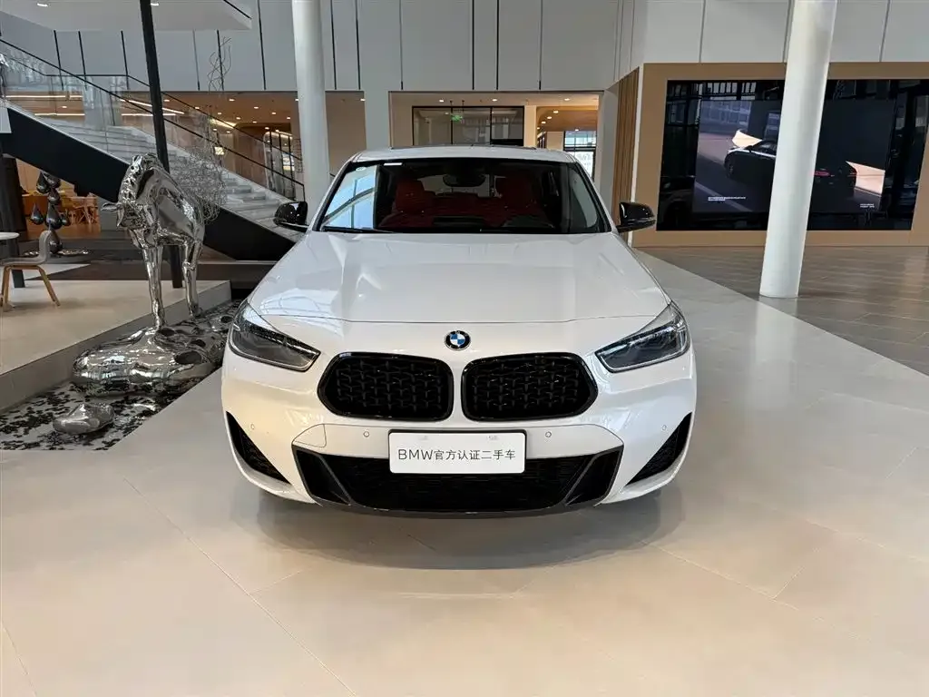 BMW X2 — фото 4