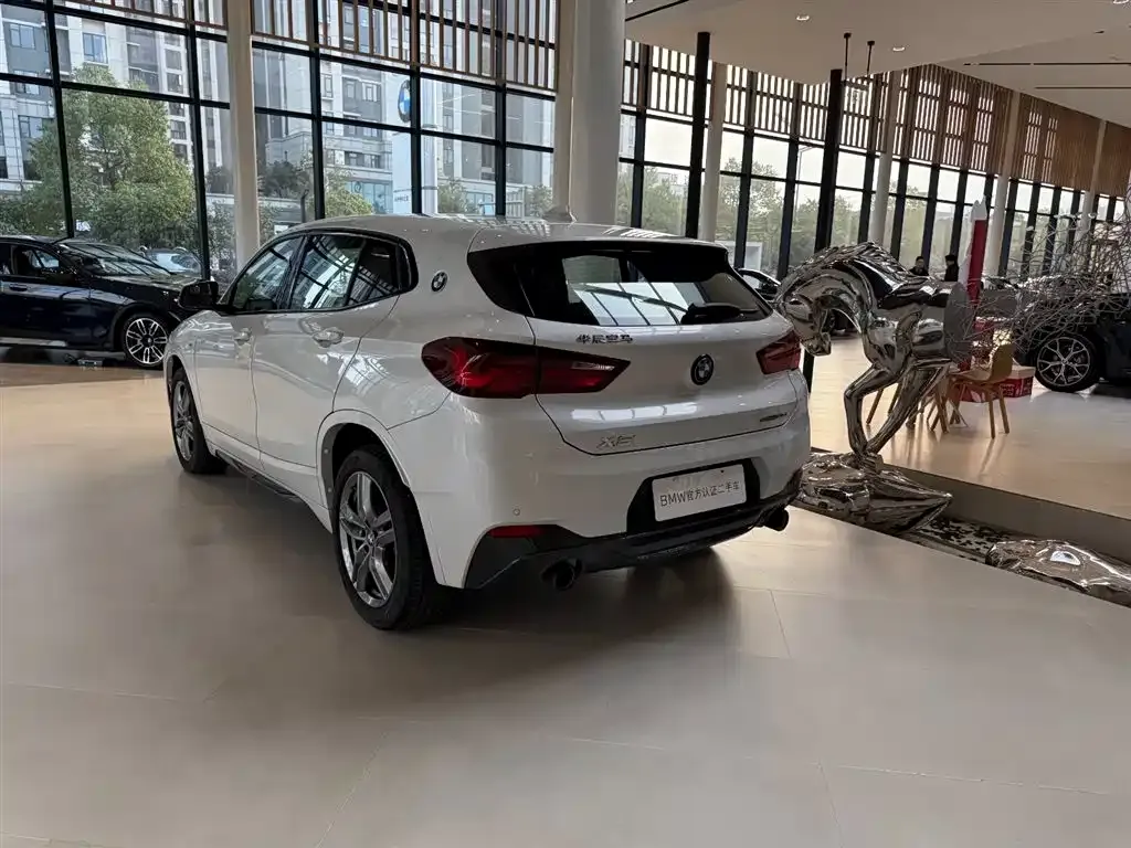 BMW X2 — фото 6