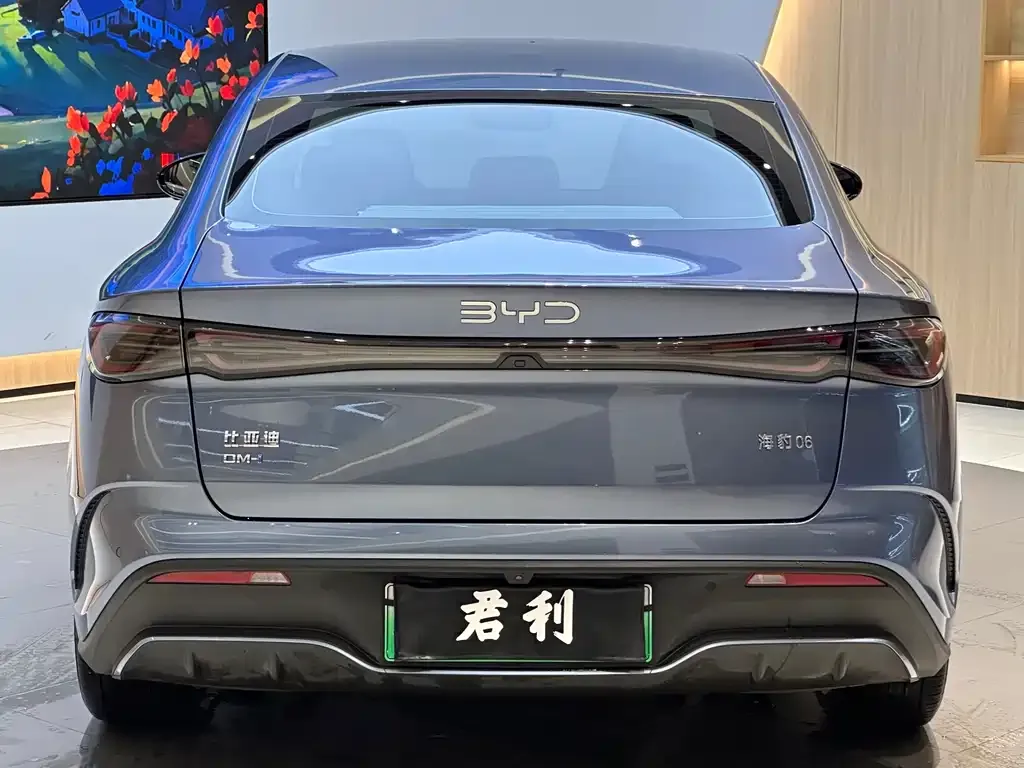 BYD Seal 06 — фото 4
