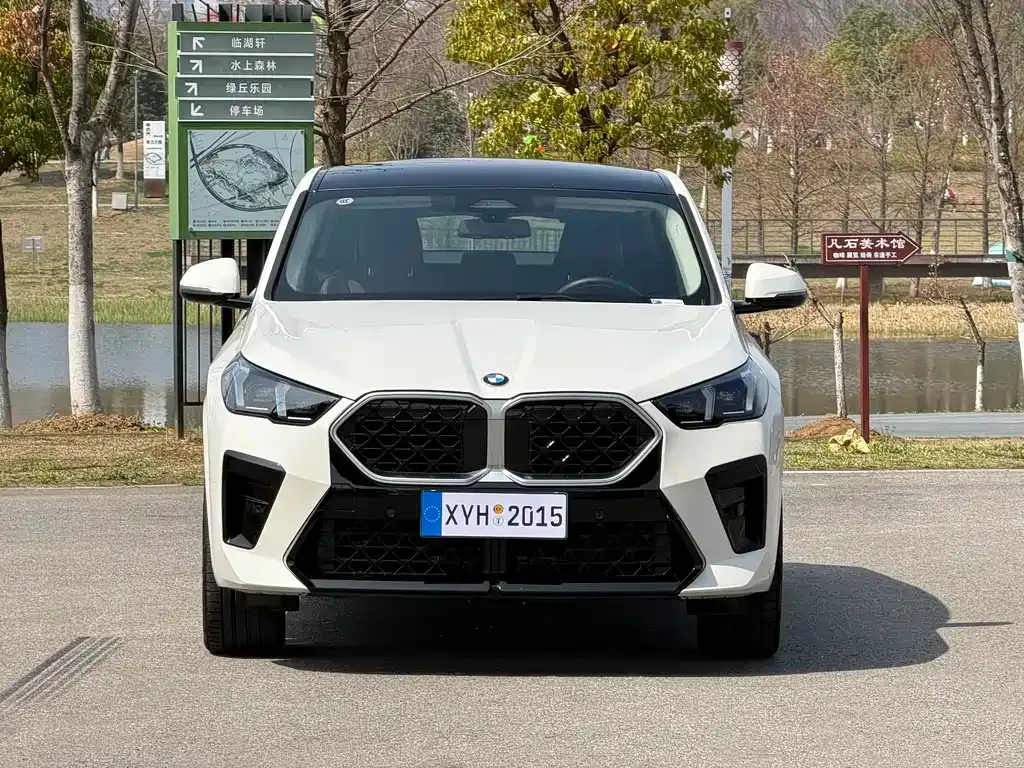 BMW X2 (Import) — фото 9
