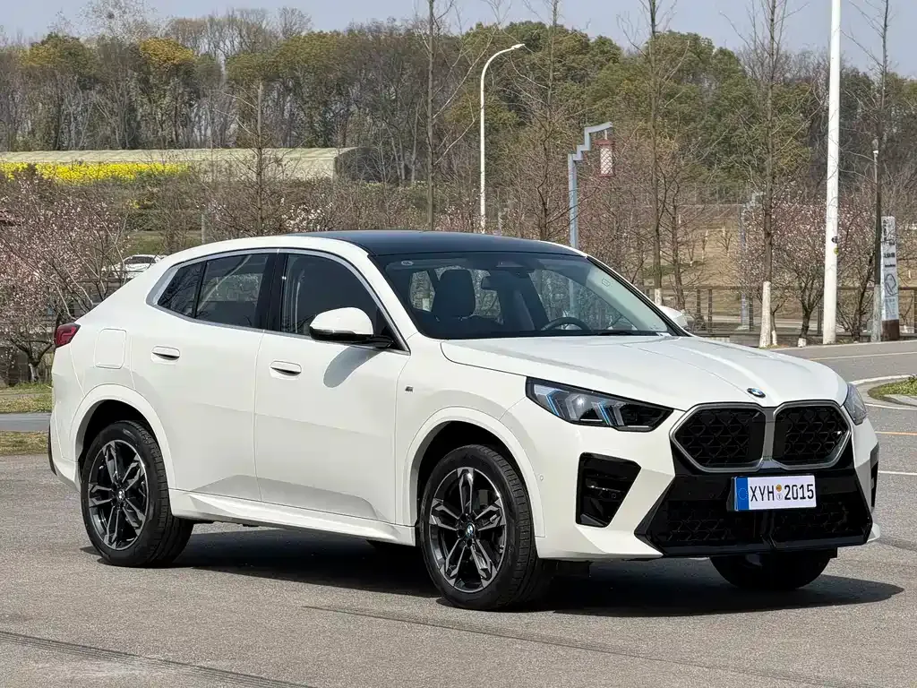 BMW X2 (Import) — фото 10