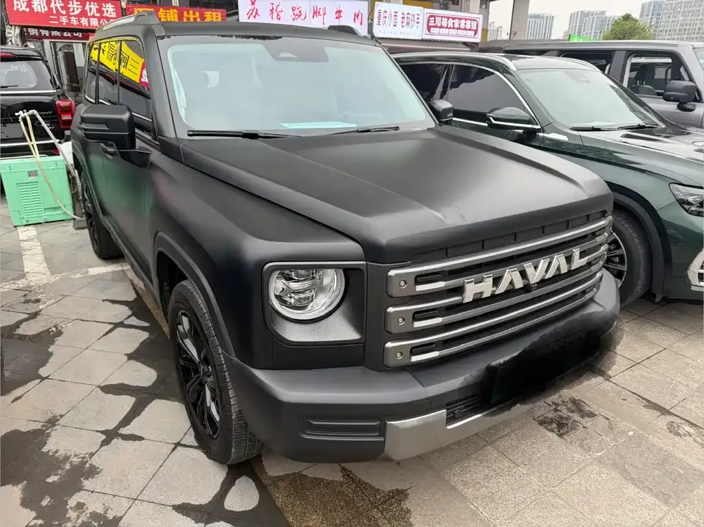 Haval Menglong New Energy — фото 6