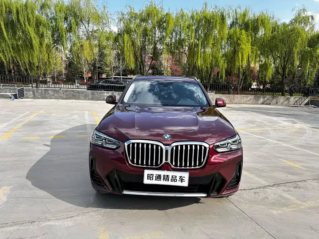 BMW X3 — фото 4