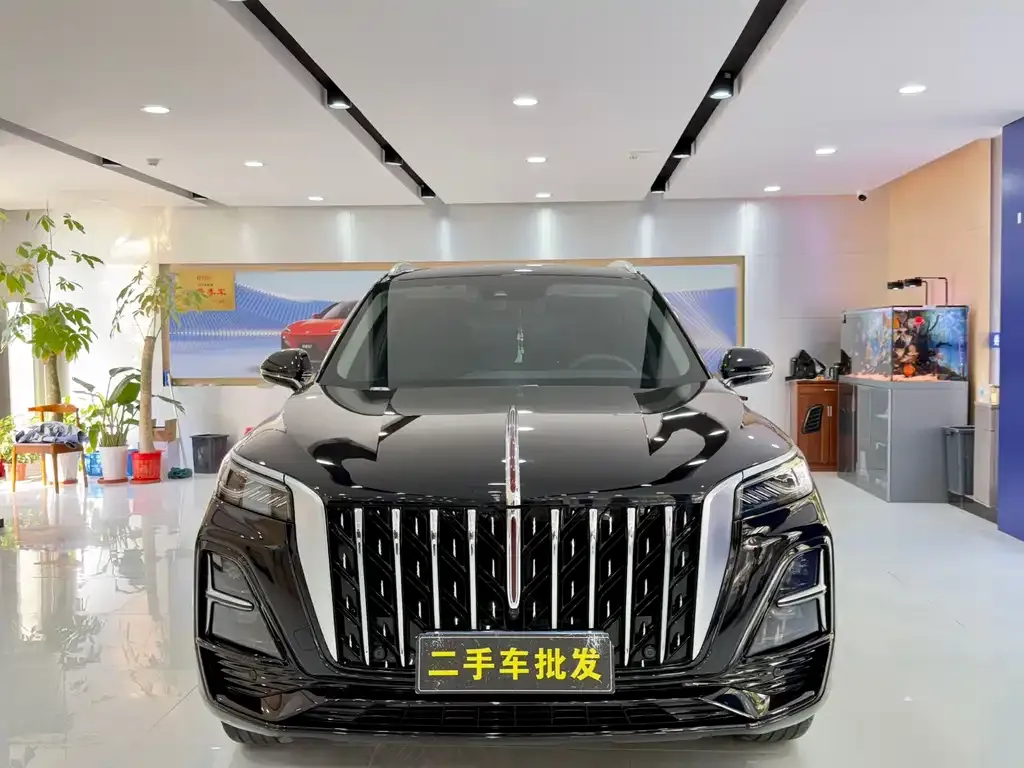 Hongqi HS5 — фото 10