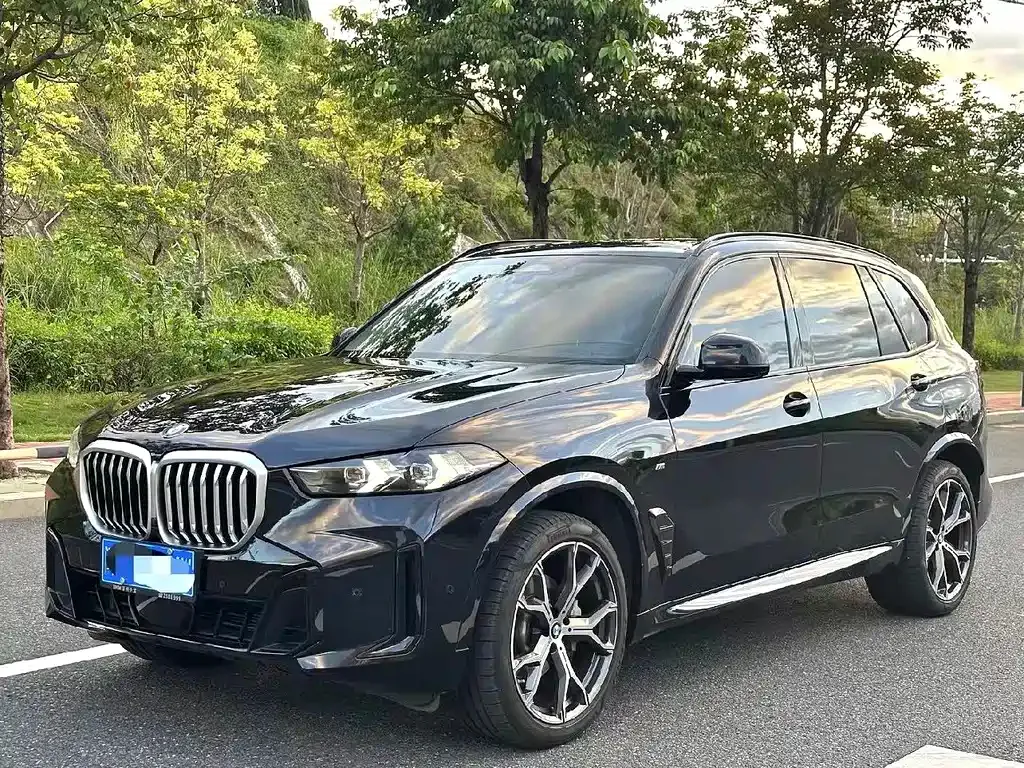 BMW X5 — фото 1