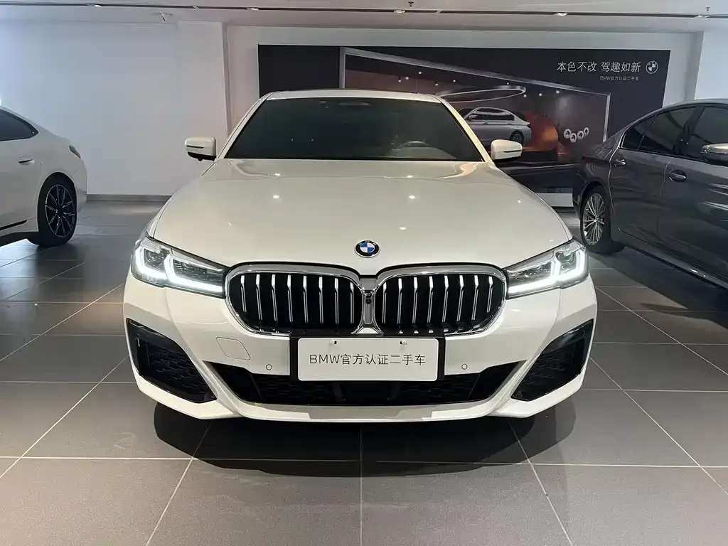 BMW 5 Series New Energy — фото 4