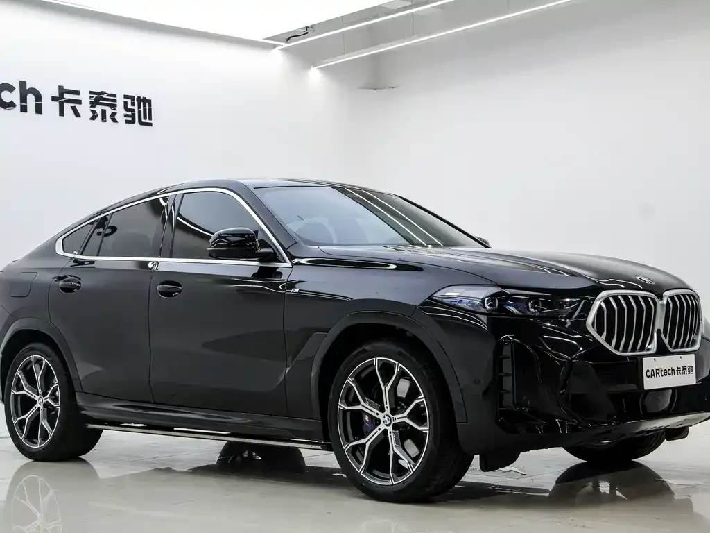 BMW X6 — фото 9