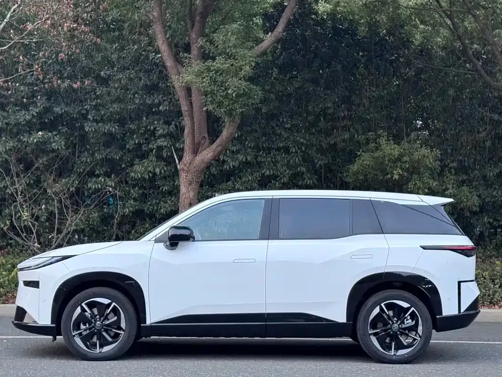 Toyota Platinum 3X — фото 3