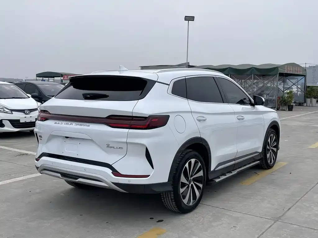 BYD PLUS New Energy — фото 8