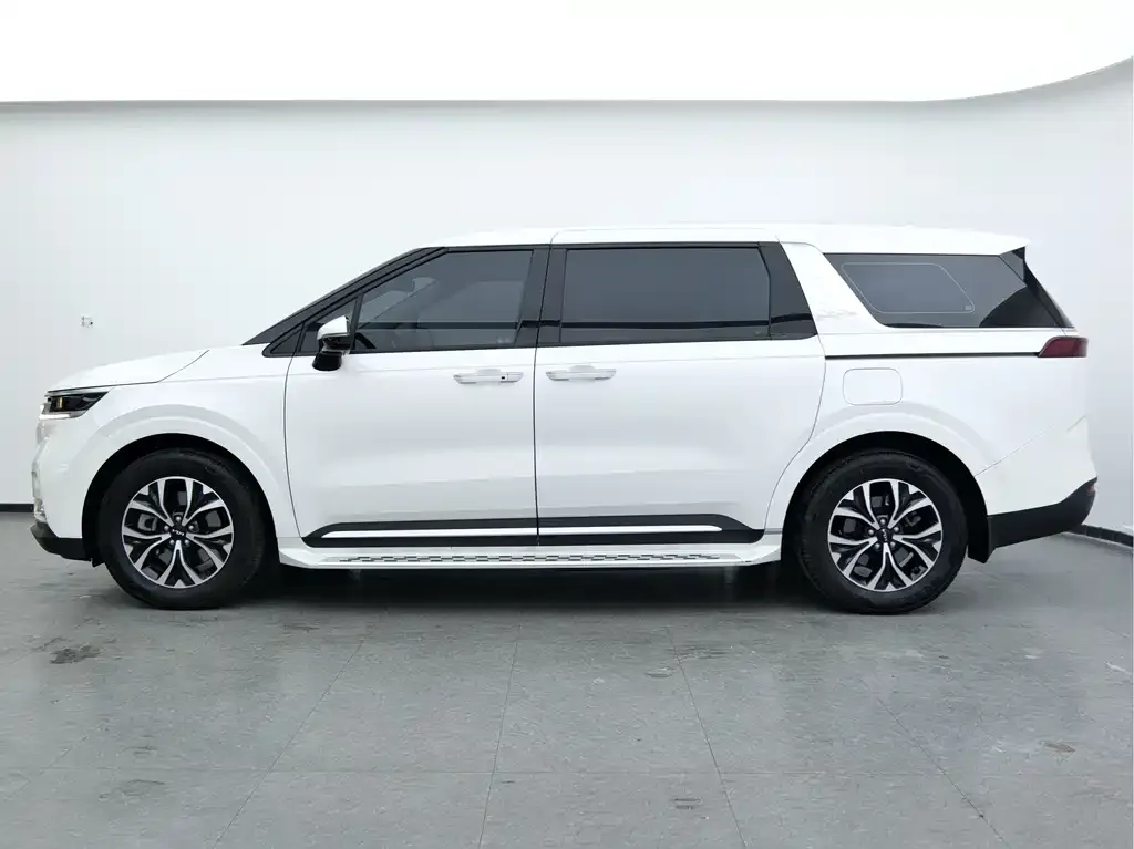 Kia Carnival — фото 9
