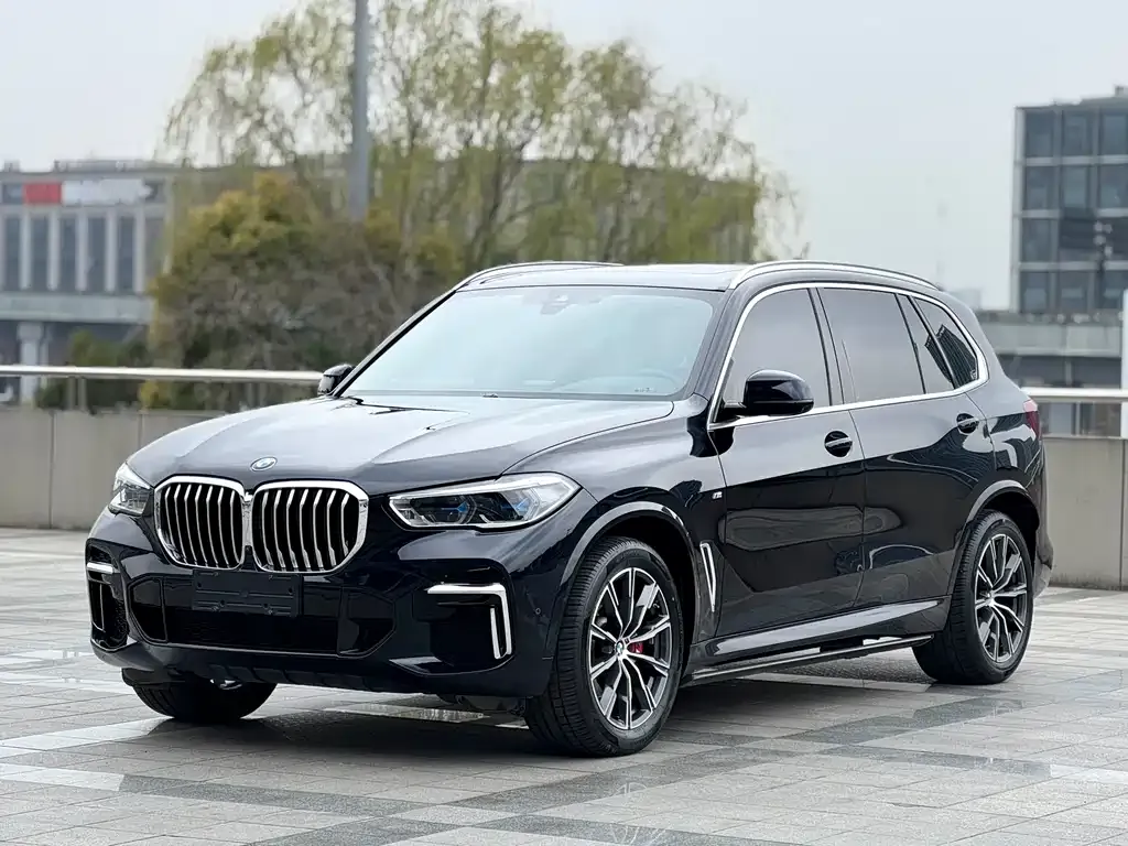 BMW X5 — фото 1