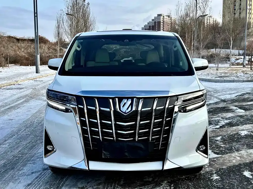Toyota Alphard — фото 8