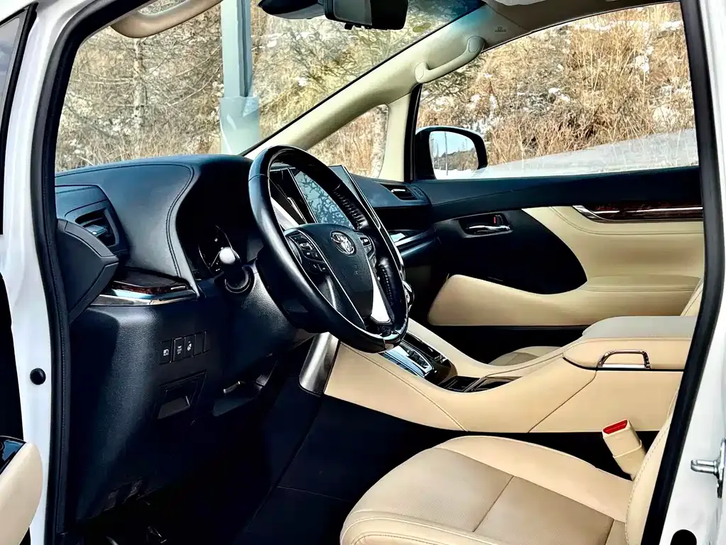 Toyota Alphard — фото 6
