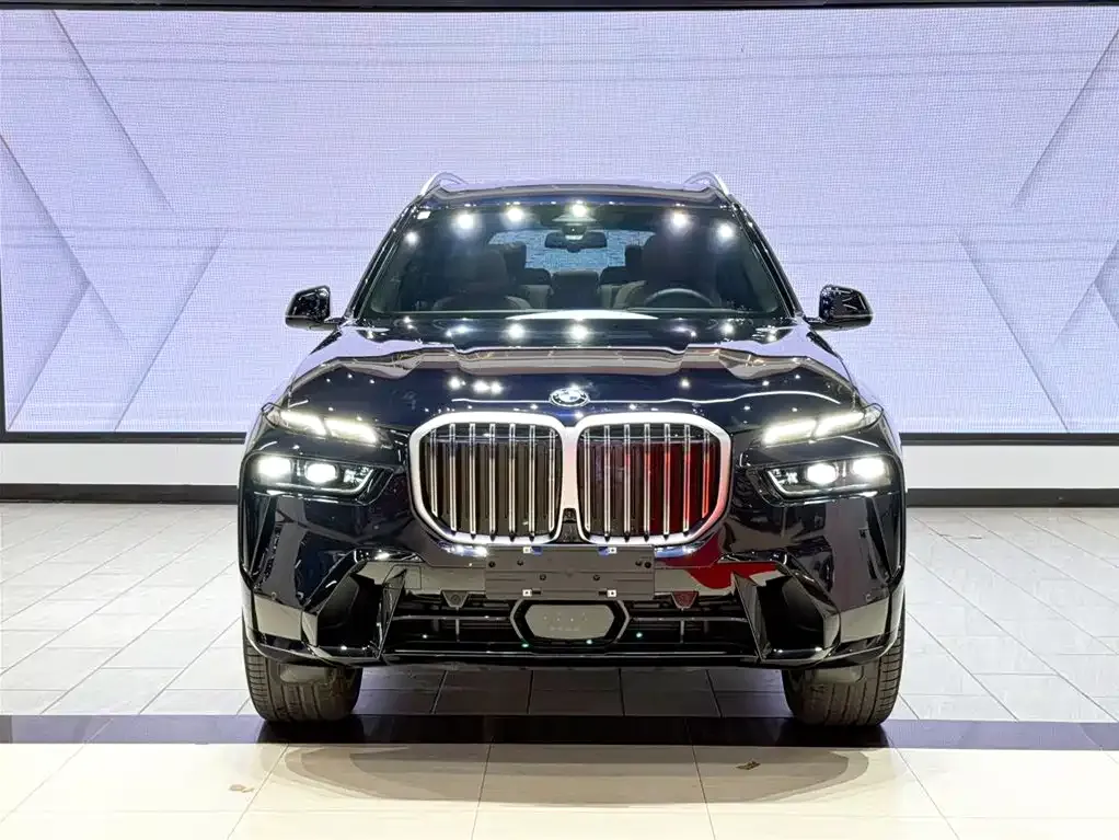 BMW X7 — фото 7