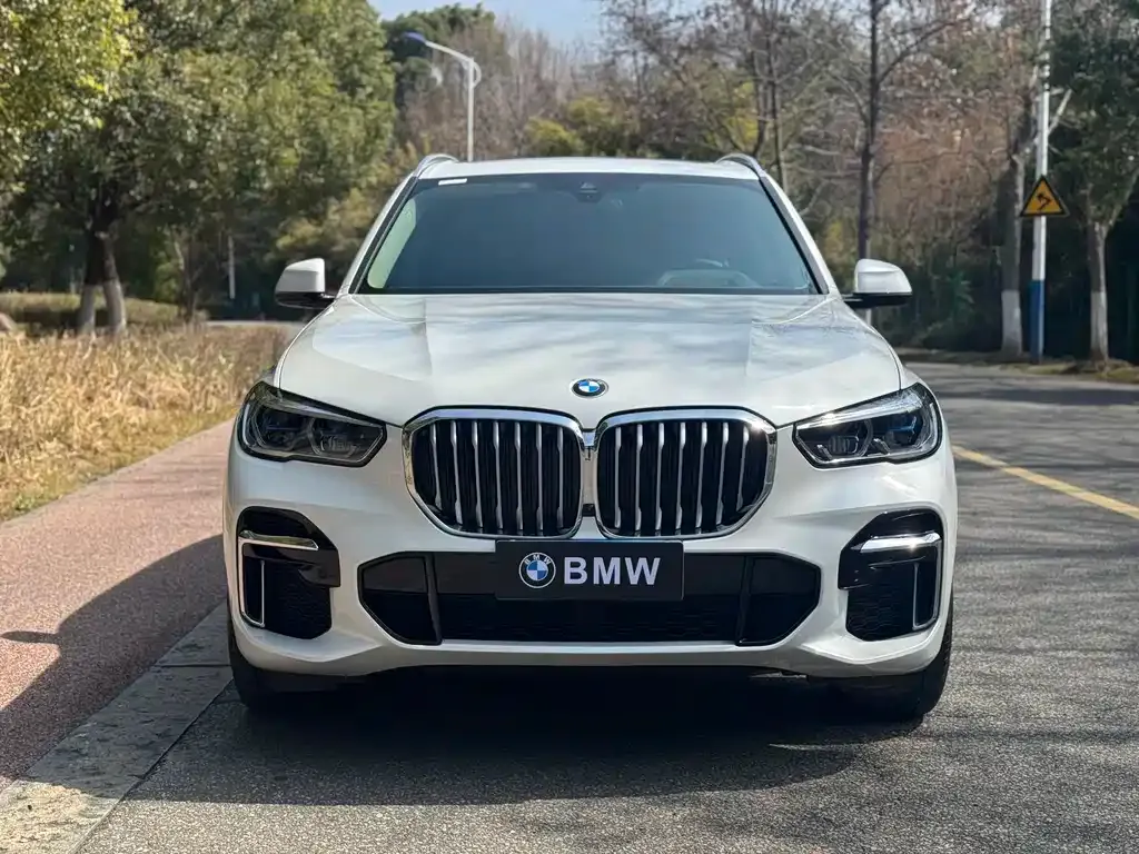 BMW X5 — фото 6