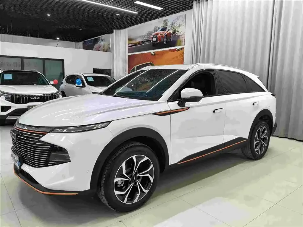 Haval Shenshou — фото 1