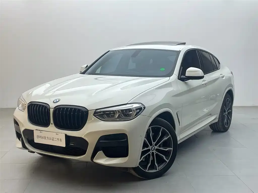 BMW X4 — фото 1