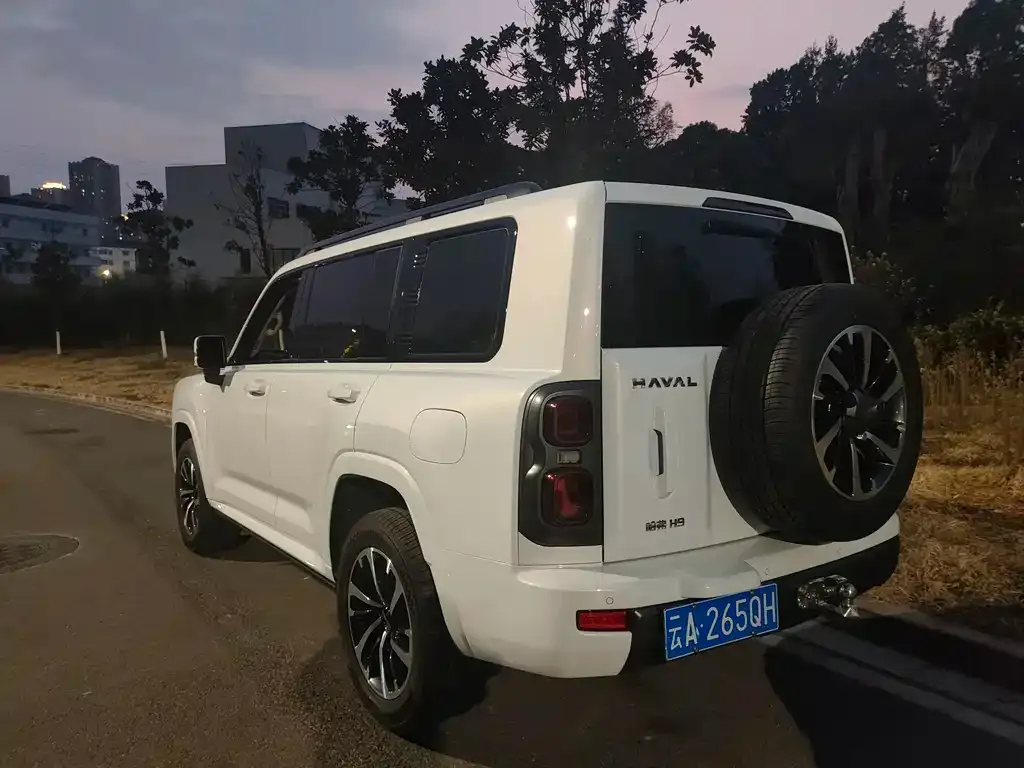 Haval H9 — фото 10