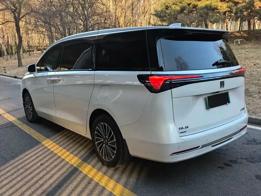 Buick GL8 Hybrid — фото 9