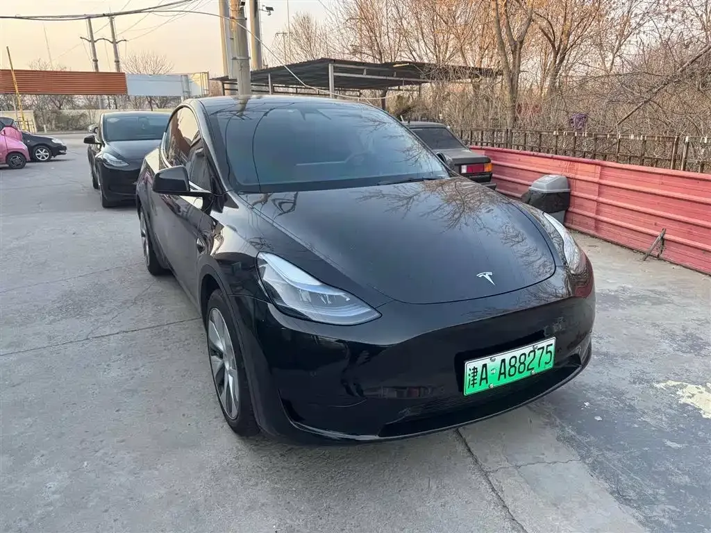 Tesla Model Y — фото 1