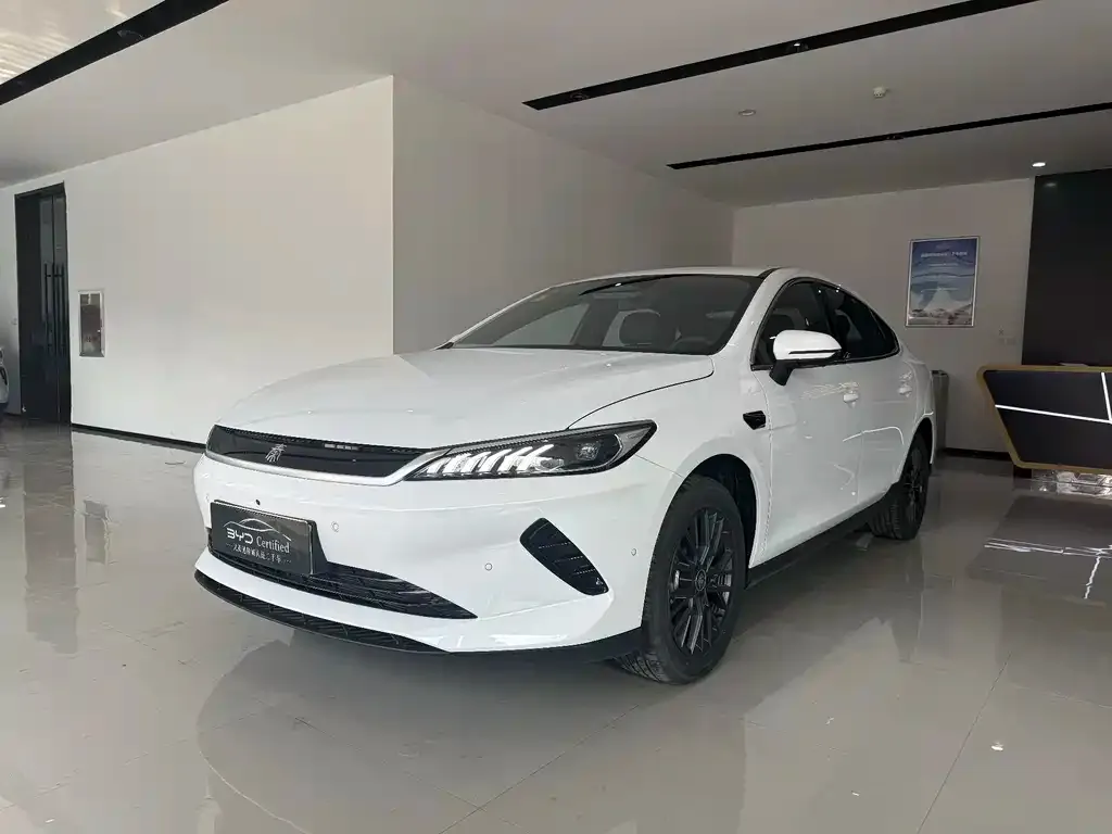 BYD Qin PLUS — фото 1