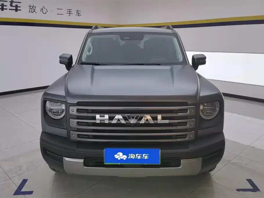 Haval Menglong New Energy — фото 6
