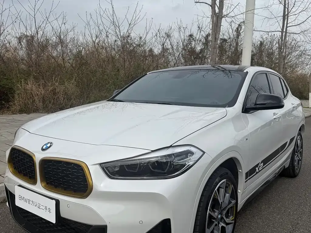 BMW X2 — фото 1